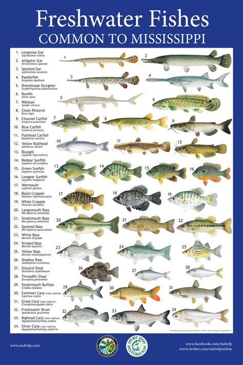 Freshwater fish of Mississippi .